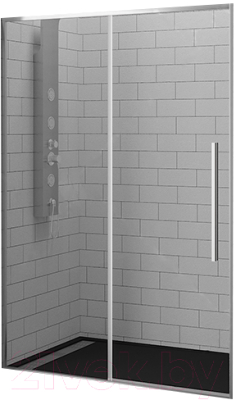 Душевая дверь RGW 32321215-11 - фото