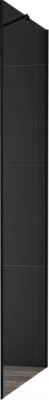 Душевая стенка Cezares SLIDER-90-FIX-C-NERO - фото