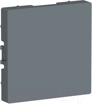 Декоративная заглушка для розетки Schneider Electric AtlasDesign ATN000709 - фото