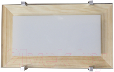 Светильник ЖКХ Элетех Полесье М40 280х160 НББ 06-40 АО - фото