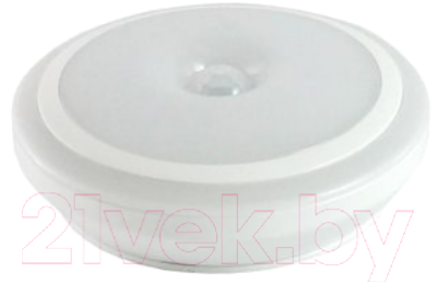 Светильник ЖКХ TDM SQ0329-3614 - фото