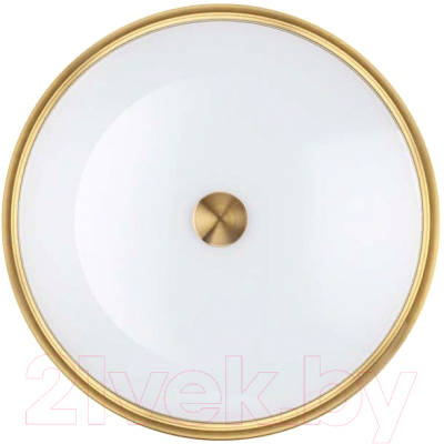 Потолочный светильник Odeon Light Light Marsei 4824/4C - фото