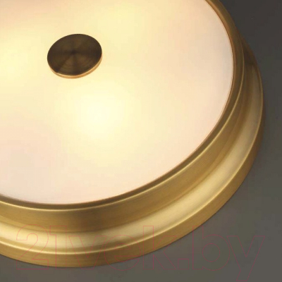 Потолочный светильник Odeon Light Light Marsei 4824/4C