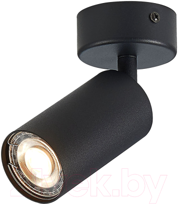 Спот ST Luce Dario ST303.402.01 - фото