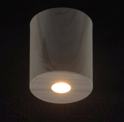 Точечный светильник De Markt Иланг 712010801