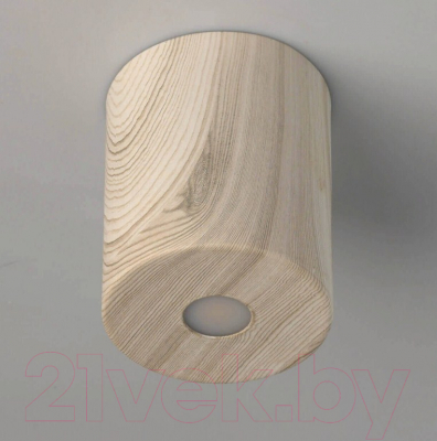 Точечный светильник De Markt Иланг 712010801