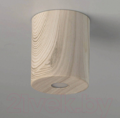 Точечный светильник De Markt Иланг 712010801