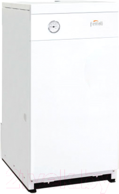 Газовый котел Ferroli Torino 80