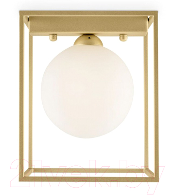 Потолочный светильник Freya Trinity FR5113CL-01G