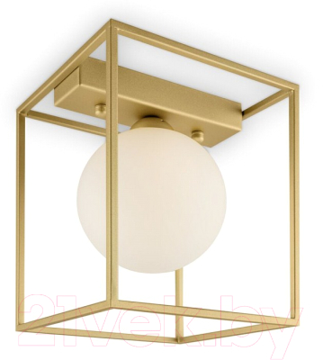 Потолочный светильник Freya Trinity FR5113CL-01G