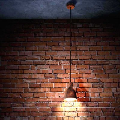 Потолочный светильник Eglo Priddy 1 49492