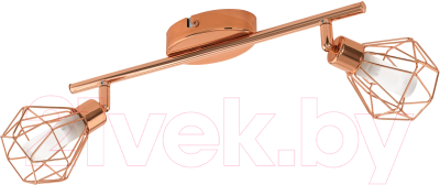 Спот Eglo Zapata 95546 - фото