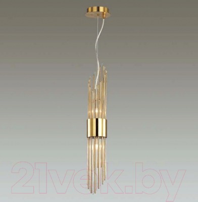 Потолочный светильник Odeon Light Flambi 4847/2