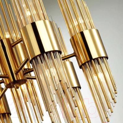 Потолочный светильник Odeon Light Flambi 4847/2