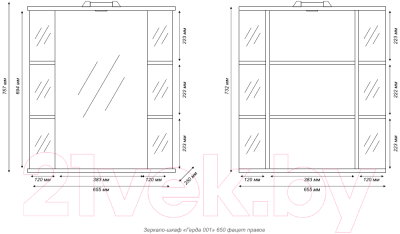Шкаф с зеркалом для ванной Tivoli Герда 65 R / 461809