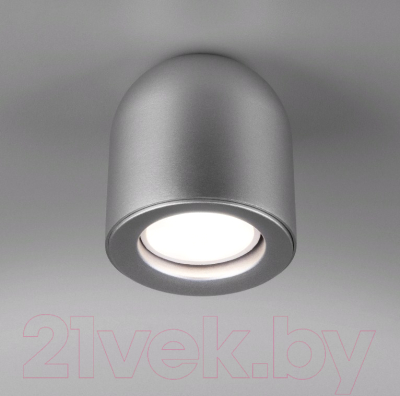 Точечный светильник Elektrostandard DLN116 GU10 - фото