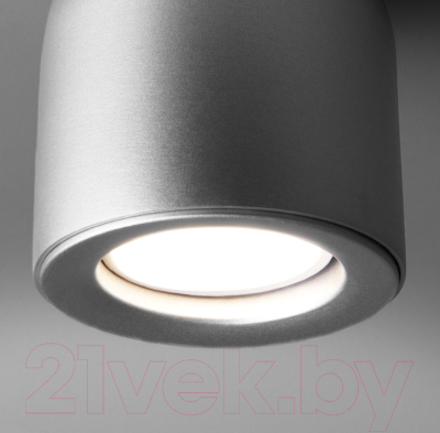 Точечный светильник Elektrostandard DLN116 GU10