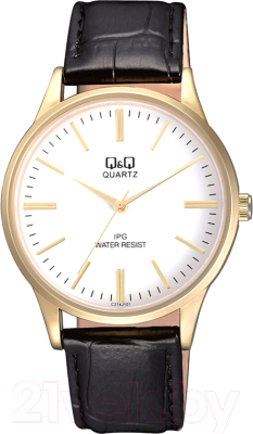 Часы наручные мужские Q&Q C214J101 - фото