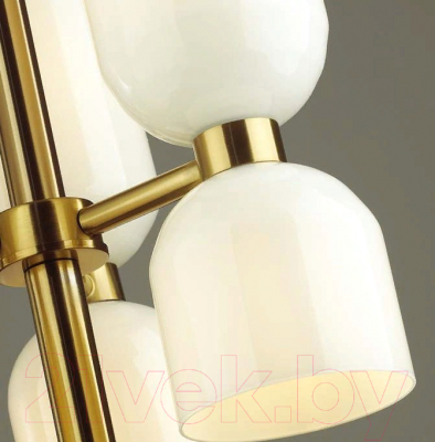 Люстра Odeon Light Orinoco 4798/6