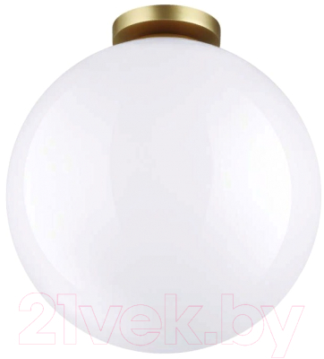 Светильник уличный Odeon Light Bosco 4250/1C - фото