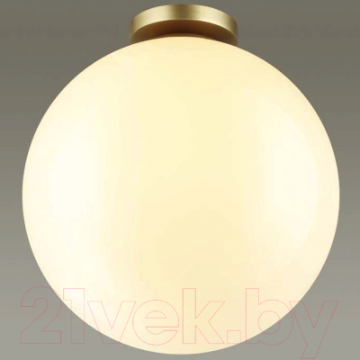 Светильник уличный Odeon Light Bosco 4250/1C