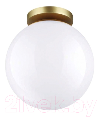 Светильник уличный Odeon Light Bosco 4248/1C - фото