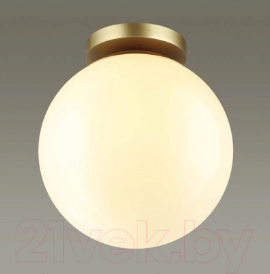 Светильник уличный Odeon Light Bosco 4248/1C