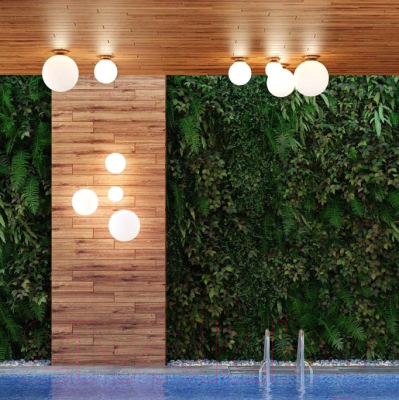 Светильник уличный Odeon Light Bosco 4248/1C