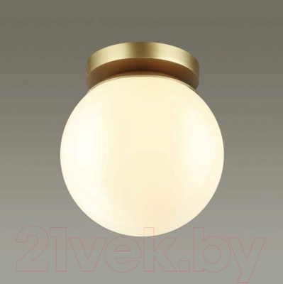 Светильник уличный Odeon Light Bosco 4247/1C