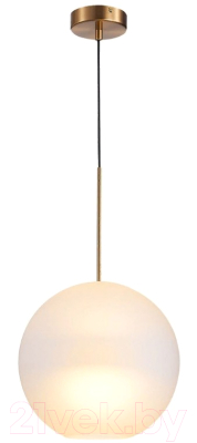 Потолочный светильник ST Luce Bopone SL1133.523.01 - фото