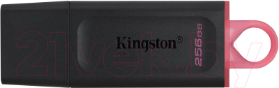 Usb flash накопитель Kingston Data Traveler Exodia 256GB (DTX/256GB) - фото