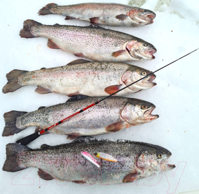 Удилище Salmo Diamond Perch Tele / 433-01