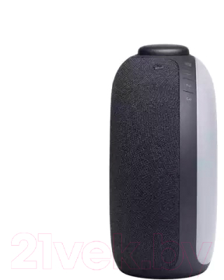 Портативная акустика JBL Horizon 2