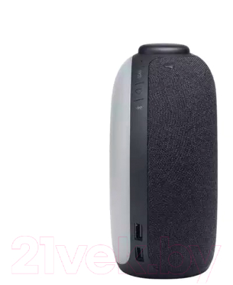 Портативная акустика JBL Horizon 2