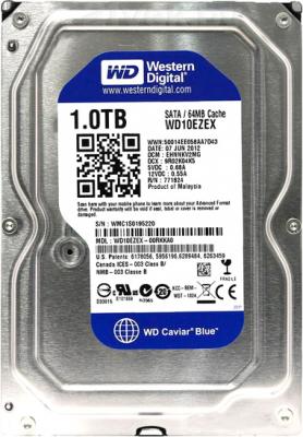 Жесткий диск Western Digital Caviar Blue 1TB (WD10EZEX) - фото