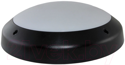 Светильник ЖКХ TDM SQ0328-0310 - фото