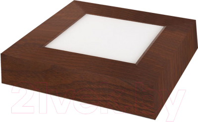 Светильник ЖКХ TDM SQ0329-0417 - фото