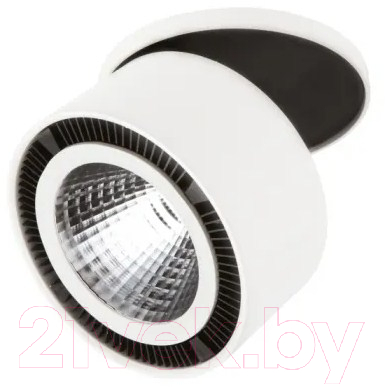 Точечный светильник Lightstar Forte Inca 213806 - фото