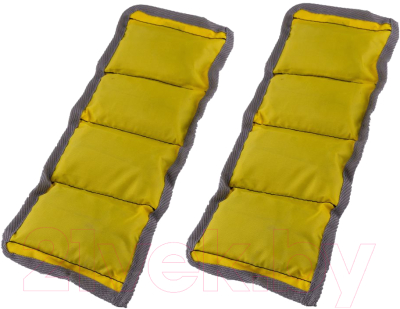 Комплект утяжелителей Atemi AAW022