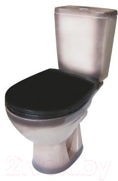 Унитаз напольный Rosa Соло - фото