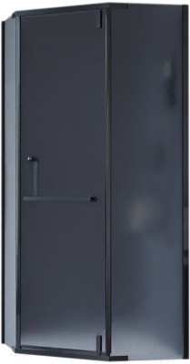 Душевой уголок RGW HO-081-B / 350608199-24 - фото