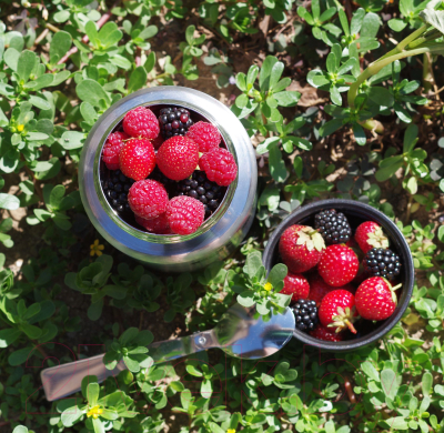 Термос для еды Биосталь NTS-750