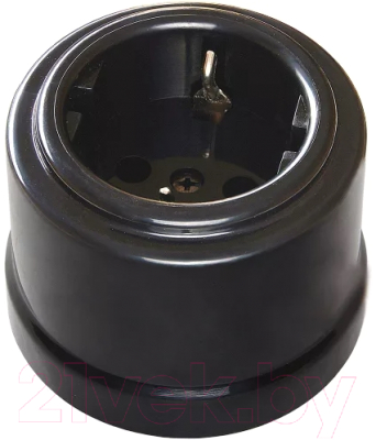 Розетка Bironi B1-101-23 - фото