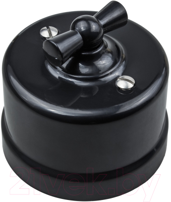 Выключатель Bironi B1-201-23 - фото