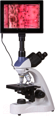 Микроскоп цифровой Levenhuk MED D10T LCD / 73987