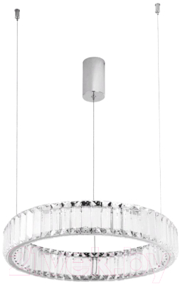 Потолочный светильник Divinare Renata 1135/02 SP-24 - фото