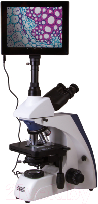 Микроскоп цифровой Levenhuk MED D35T LCD / 74003
