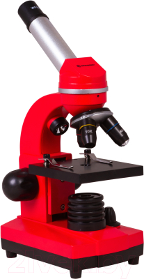 Микроскоп оптический Bresser Junior Biolux SEL 40–1600x / 74320 (красный)