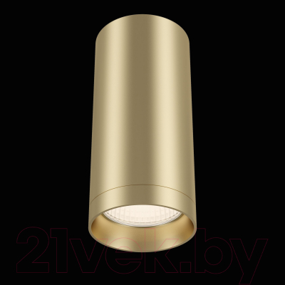 Потолочный светильник Maytoni Alfa C010CL-01MG