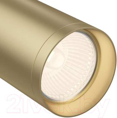 Потолочный светильник Maytoni Focus C018CL-01MG